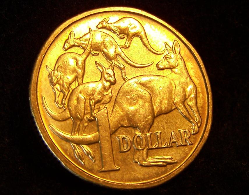 Engorged-1984-$1-Main-Roo-Tick!